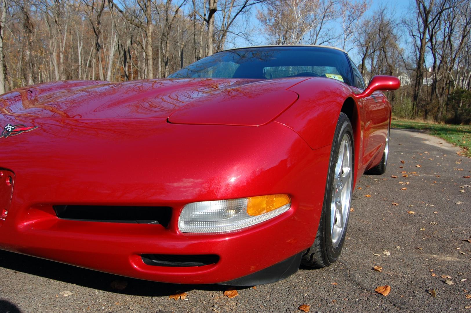 1998 Burgundy /Beige Leather Chevrolet Corvette (1G1YY32G9W5) with an 5.7 liter V8 engine, Automatic transmission, located at 6528 Lower York Road, New Hope, PA, 18938, (215) 862-9555, 40.358707, -74.977882 - Photo#11